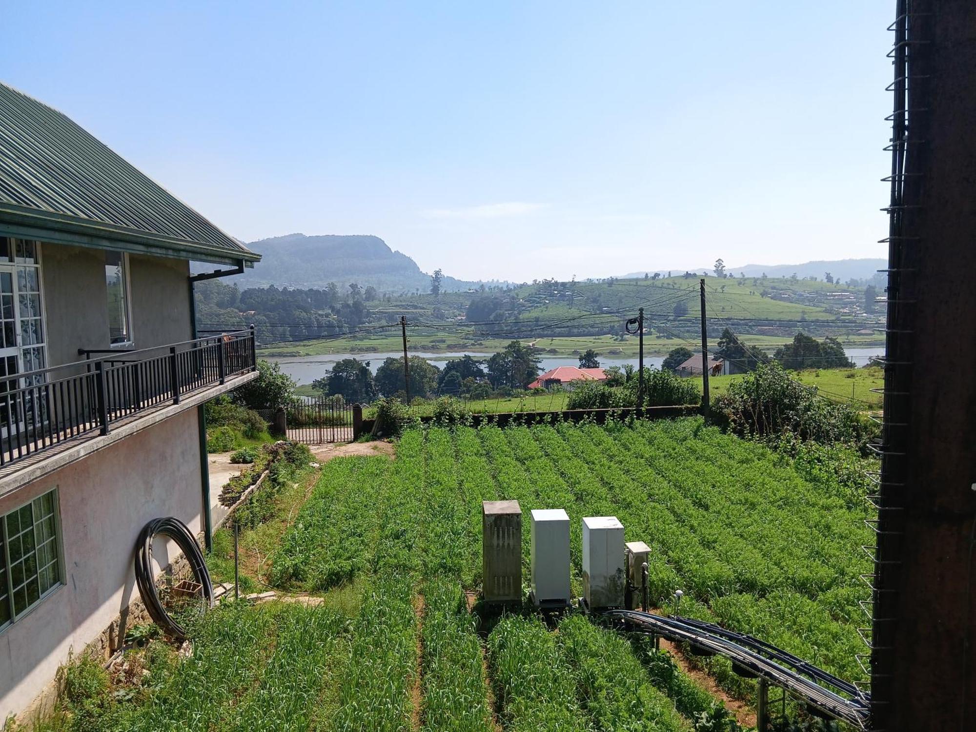 Terrabella - Nuwara Eliya Hotell Eksteriør bilde